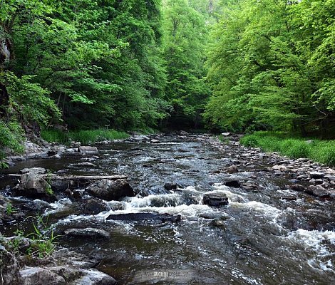 Výpravy za poznáním
